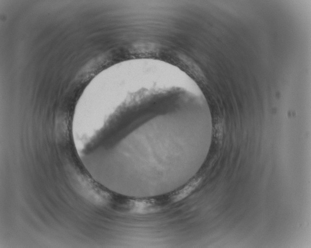 X0000082690662200702232206