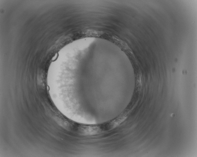 X0000082690663200702232206