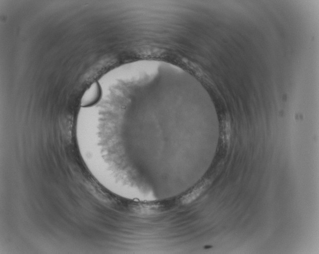 X0000082690664200702232206