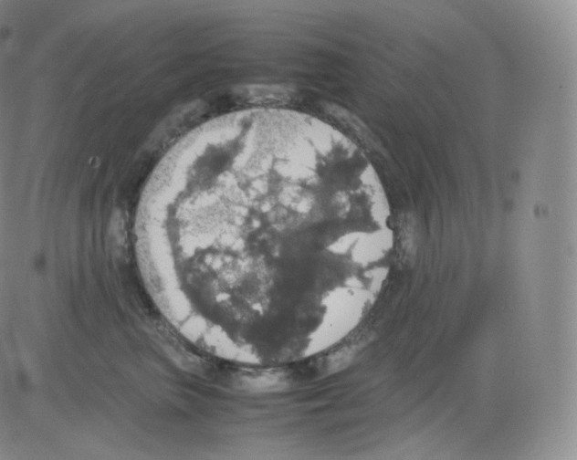 X0000082690667200702232206