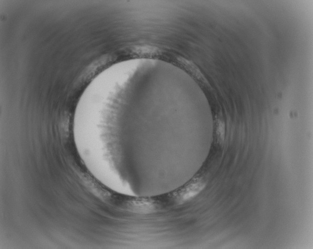 X0000082690668200702232206