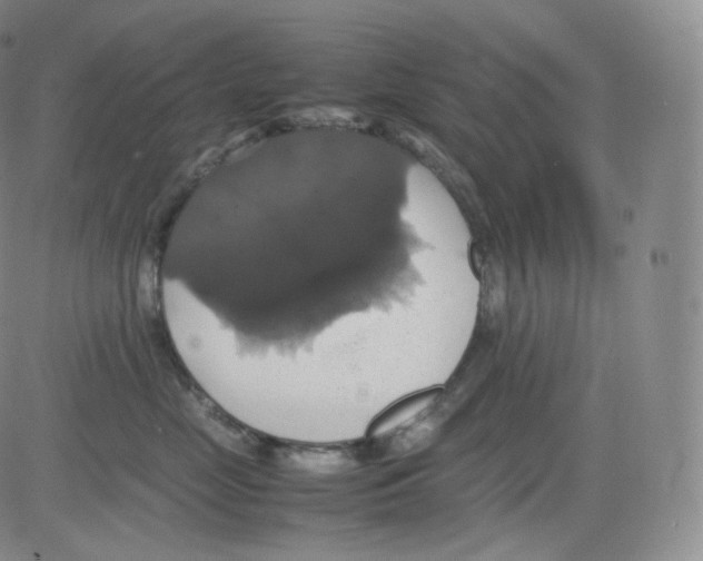 X0000082690669200702232206