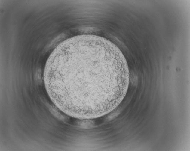 X0000082690670200702232206