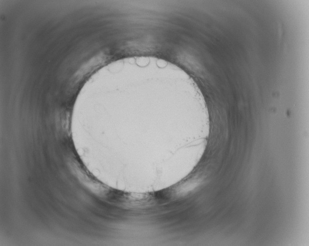 X0000082690672200702232206