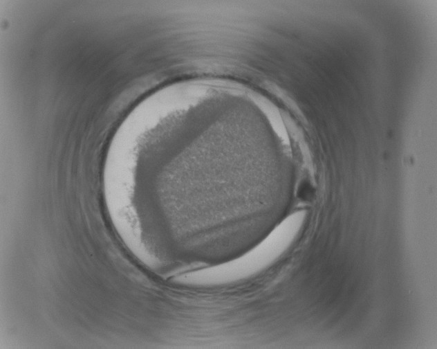 X0000082690673200702232205