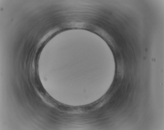 X0000082690674200702232205