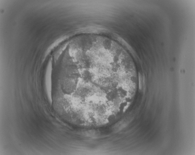 X0000082690675200702232205