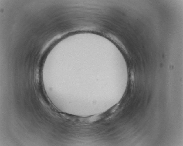 X0000082690676200702232205