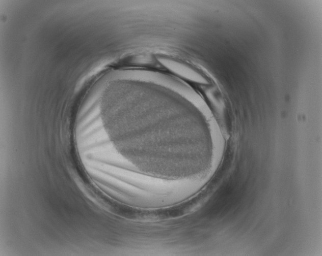 X0000082690677200702232205