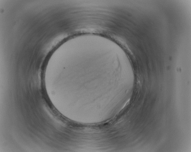 X0000082690678200702232205