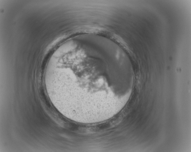 X0000082690679200702232205