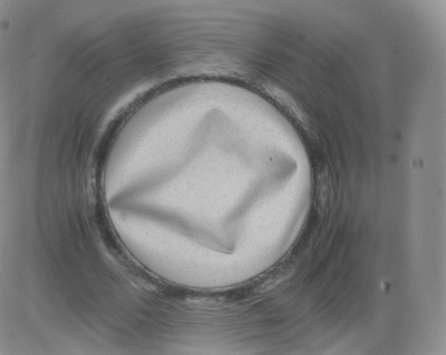 X0000082690680200702232205