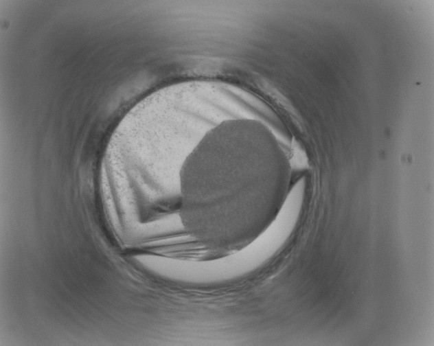 X0000082690681200702232205