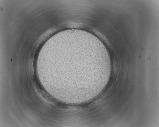 X0000082690682200702232205