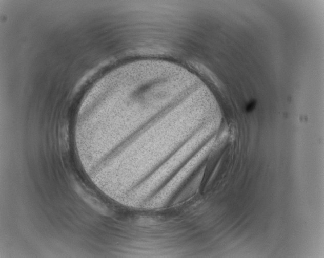 X0000082690684200702232205