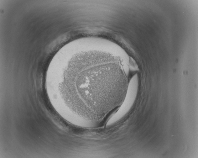 X0000082690685200702232205