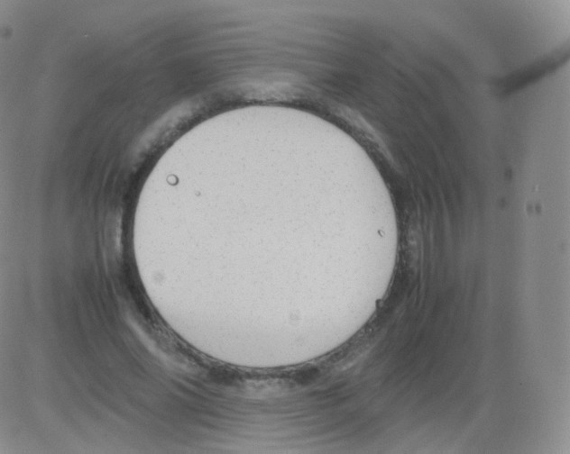 X0000082690686200702232205