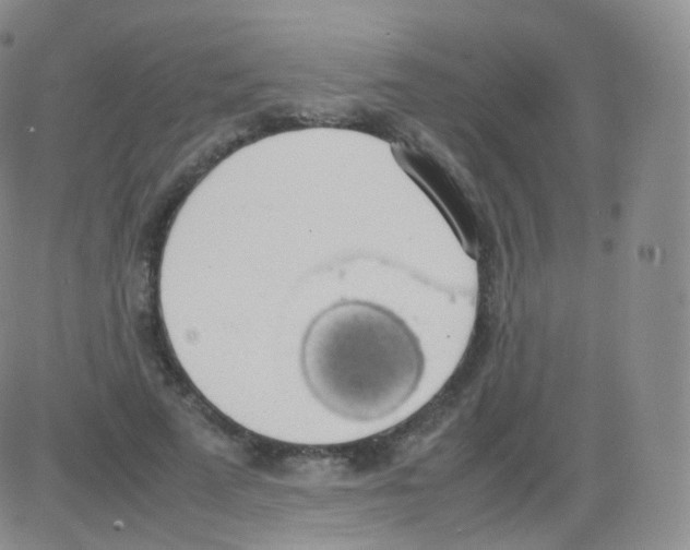 X0000082690689200702232205