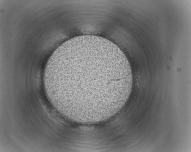 X0000082690690200702232205