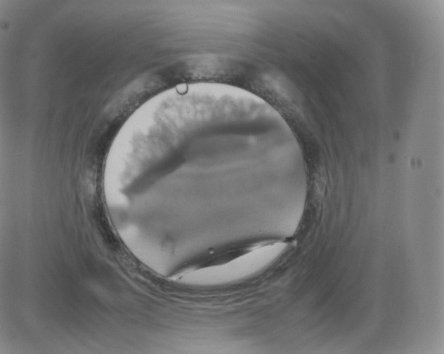 X0000082690691200702232205