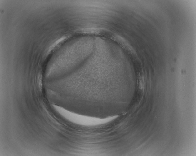 X0000082690692200702232205