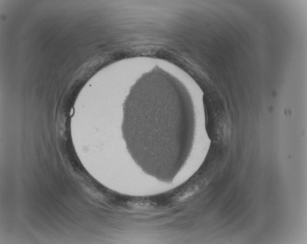 X0000082690693200702232205