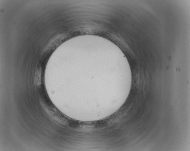 X0000082690694200702232205