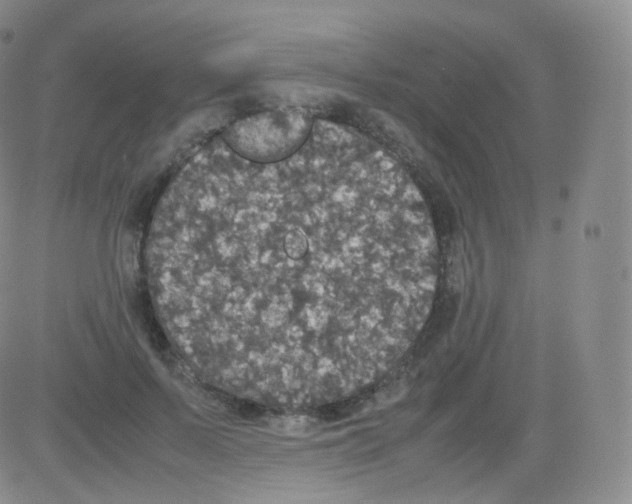 X0000082690695200702232205