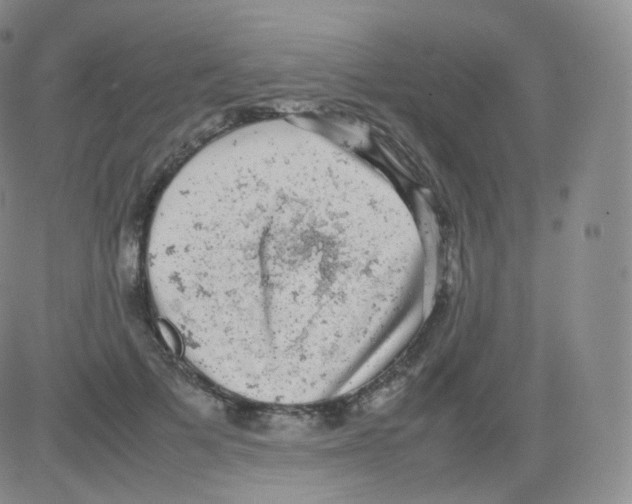 X0000082690697200702232205