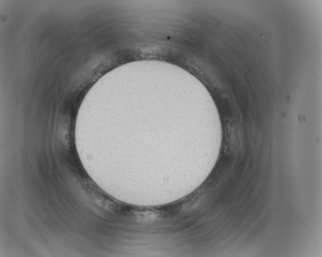 X0000082690698200702232205