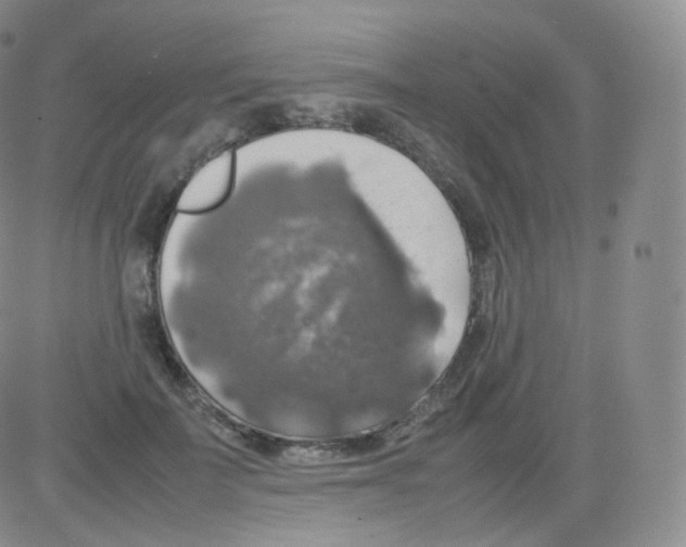 X0000082690699200702232205