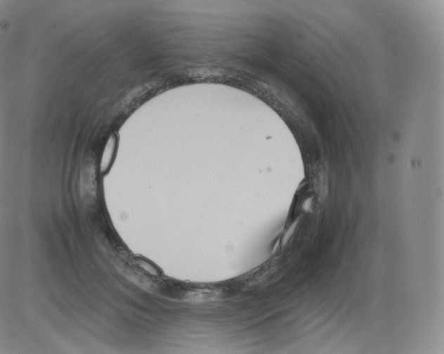 X0000082690700200702232205