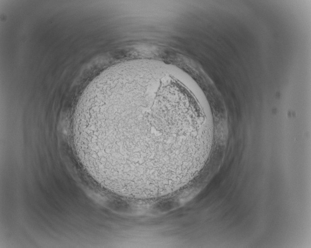 X0000082690701200702232205