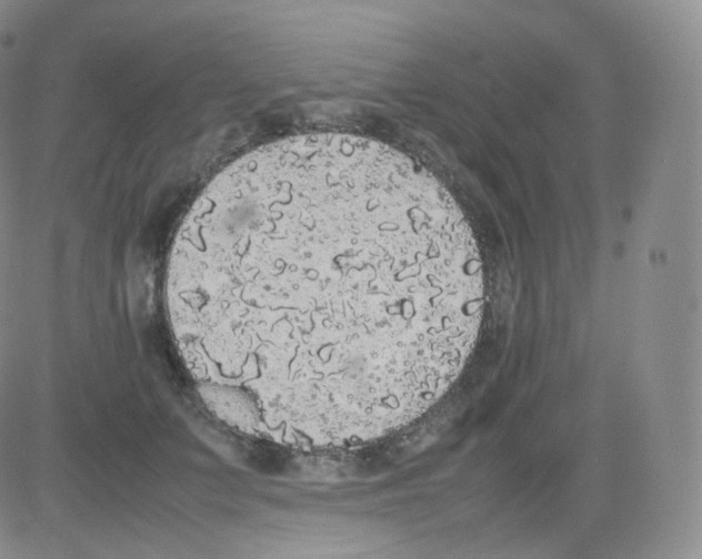 X0000082690703200702232205