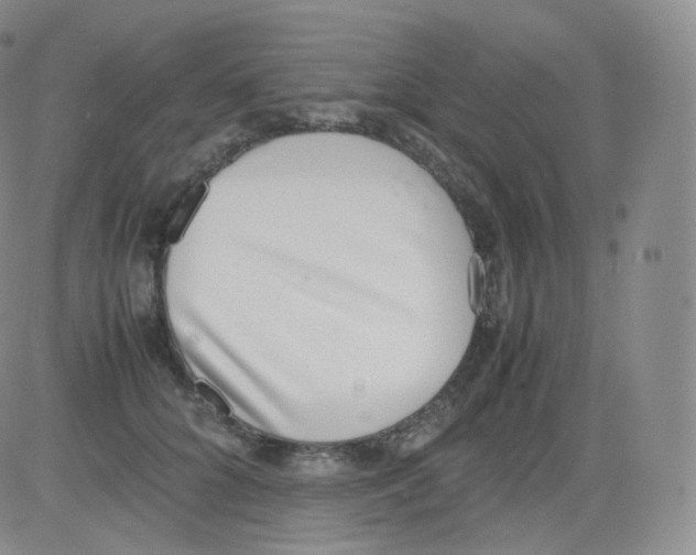 X0000082690704200702232205