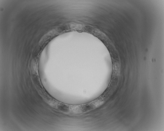 X0000082690705200702232205