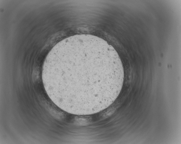 X0000082690706200702232205