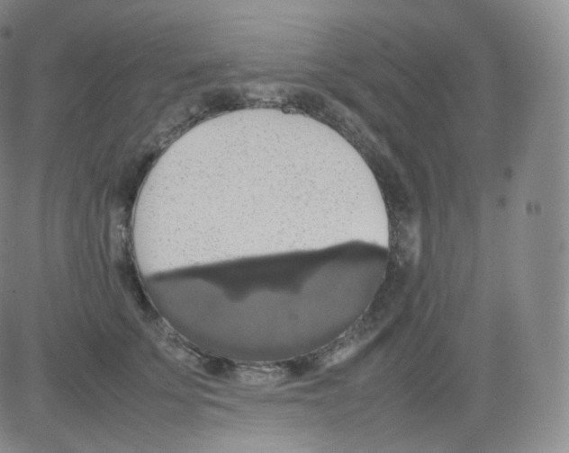 X0000082690707200702232205