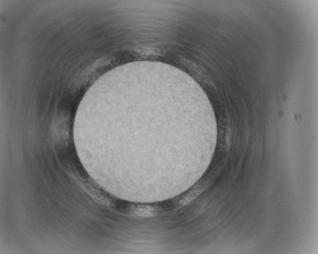 X0000082690710200702232205