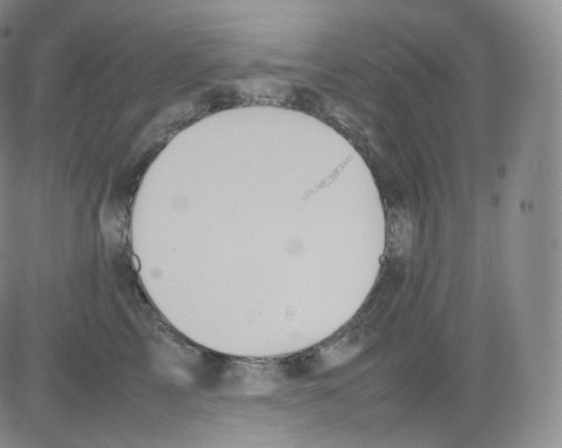 X0000082690713200702232205