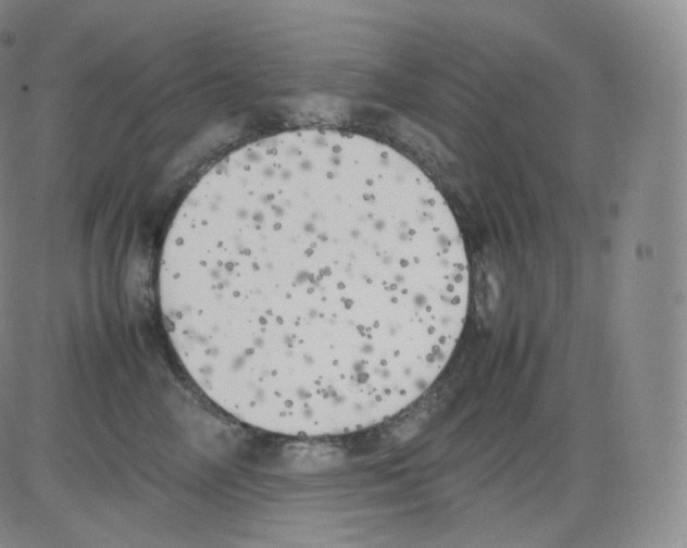 X0000082690714200702232205