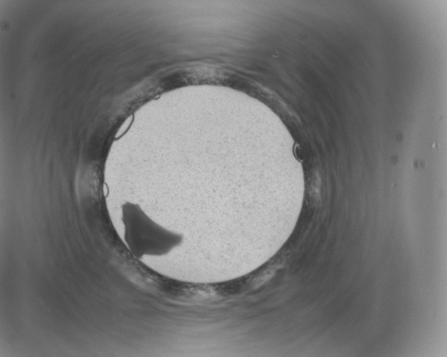 X0000082690715200702232205