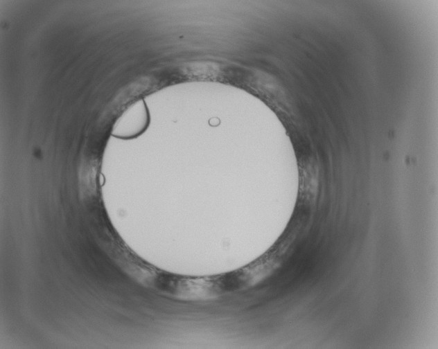 X0000082690717200702232205