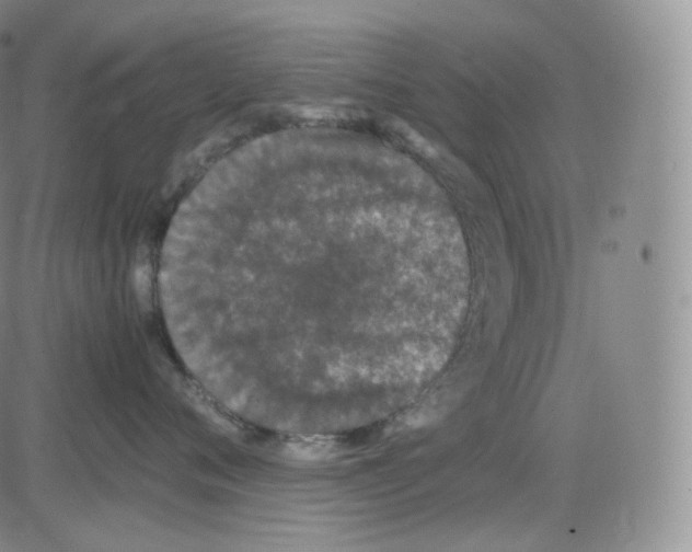 X0000082690720200702232204