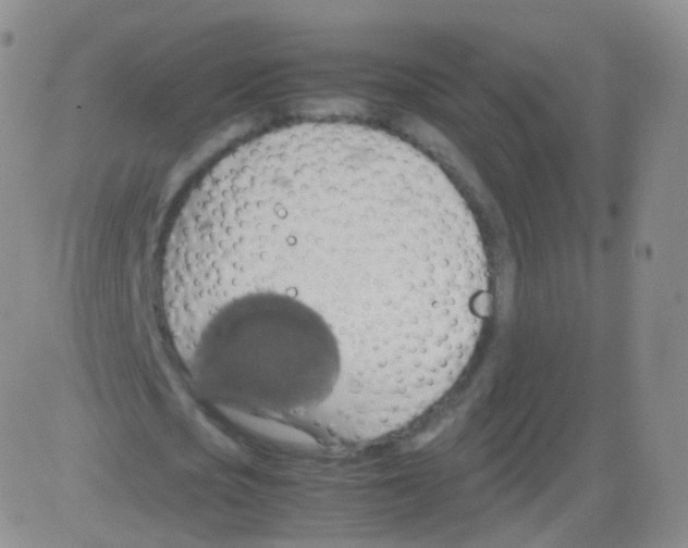 X0000082690721200702232203