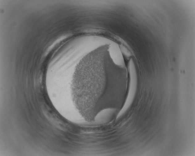 X0000082690723200702232203