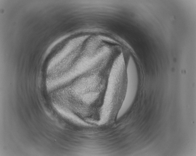 X0000082690724200702232203