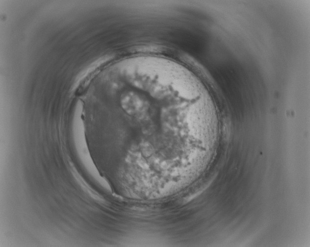 X0000082690725200702232204