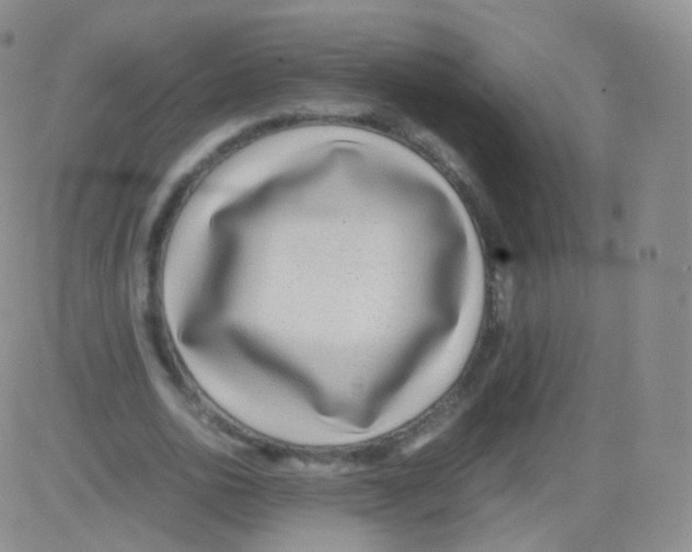 X0000082690726200702232204