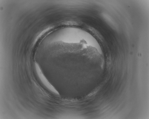 X0000082690727200702232204